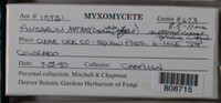 Image Associated With the Occurence